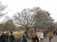 北の丸公園の紅葉を見て、皇居東御苑に入りました。
この日は、今上天皇の傘寿記念で、皇居の乾通りが一般公開されていたため、多くの人々が訪れていました。