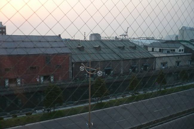 お部屋からの眺め。