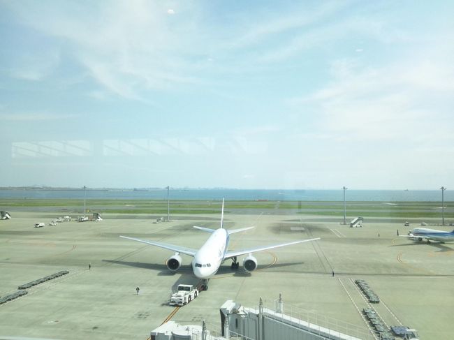 空港で搭乗時間待ち。<br /><br />石垣島行きは年配の方がいっぱい。<br />私ものーんびり、飛行機と青い空を眺めていました。<br />こういう時間久しぶりで、ありがたい。<br /><br />この時のおばちゃんたちの話題が航空機事故…<br />なぜ乗る前に…。