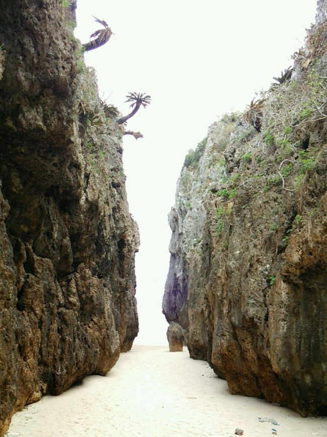 朝一で備瀬のワルミへ！<br /><br /><br />ネットでわかりづらいという書き込みを<br />沢山見ましたが、Googleマップの航空写真で<br />迷うことなくすんなり辿り着けました(°▽°)<br /><br /><br />坂道を下ると一気に開けます(@￣□￣@)！！<br /><br /><br />真上まで見上げるほどのワレメが凄い迫力！<br /><br /><br />下から飛び出てる岩はどんどん砂で埋もれて<br />小さくなっているみたいですが、<br />元はどんな大きさだったのでしょうか？<br />