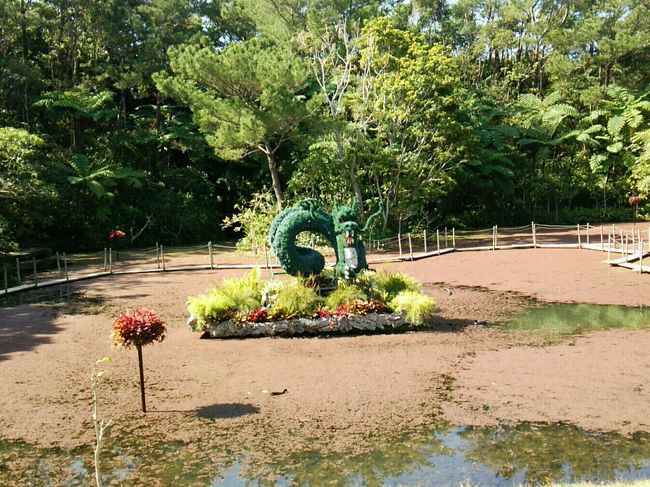 景色を思う存分堪能して、この旅のメイン！<br />ビオスの丘.+:｡ ヾ(◎´∀｀◎)ﾉ ｡:+.<br /><br /><br />入る前からドキドキします！<br /><br /><br />園内は沢山の植物で溢れていました(●¨●)<br />色とりどりの蘭が見事に咲き誇っています。<br /><br />