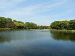 　　　　　４月のある日　　【大仙公園】　　どら池