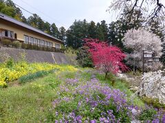 霊山院がみえてきました。
色とりどりの花が咲いています。