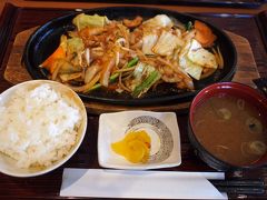 恵那峡ＳＡは岐阜県。
岐阜のＢ級グルメ、鶏ちゃん焼き定食をお昼に選びました。

気まぐれで名古屋に行かなくてよかったんだな。
味噌味でご飯がススムススムー

ごちそうさまで完食でした。
