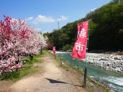 走る事約10分。
昼神温泉にやってきました。

【昼神温泉郷】
はるか昔からこの辺の一部だけ、雪が解けてしまう場所があった。
昭和48年トンネル工事中に温泉が湧きだしたことから、温泉街となる。
南信最大の温泉で、良質なアルカリ性単純硫黄泉。
比較的新しい温泉は、知る人ぞ知る「美人の湯」として最近評判の温泉。