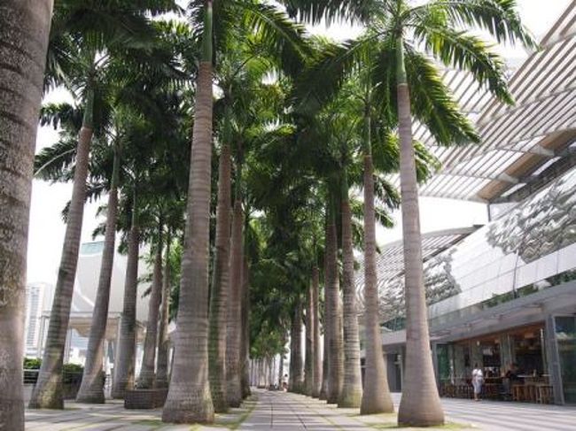 モールの外。<br />モールはカジノ付近には貴金属、超ハイブランドのお店、そこから離れていくとだんだんカジュアルブランドのお店になってきます。<br /><br />ヴィトンもシャネルもグッチでも何でもあるし、最新作の入荷もオーチャードより早いらしいですよ。TWGもあるし、ショッピングはここだけで十分！