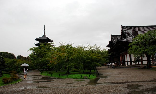 雨に忍ぶ東寺のお庭。