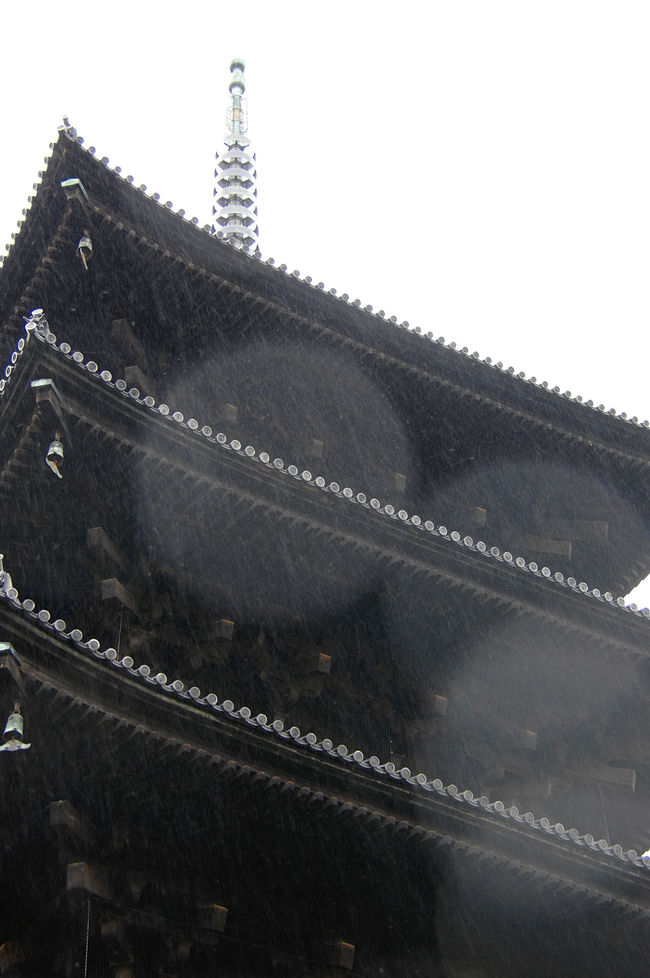 レンズに雨粒がどっさり付いちゃってます･･･