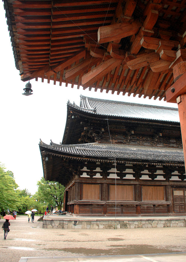 向こうが金堂。国宝です。<br />どちらも見応えタップリでした。