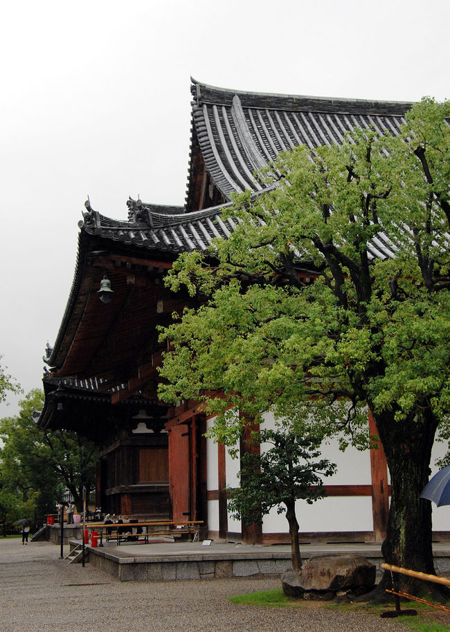 大雨の中、傘はカメラに携えながら･･･