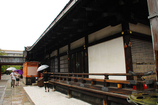 雨は、今日の散策之終盤にさしかかって、漸く小降りになりました。