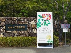また少し歩いて、高知県立　牧野植物園へ