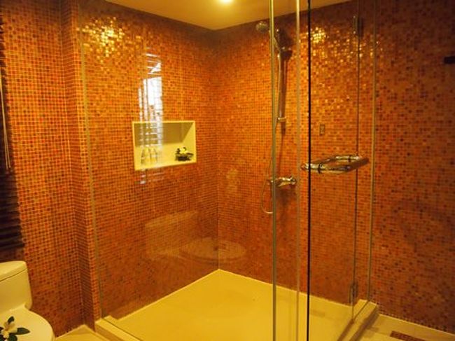 室内はシャワーのみです。<br />シャワーは可動式。