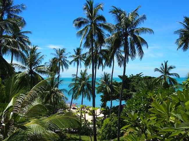 自然も多く、傾斜があるので眺めはいいけど、リゾート内の移動は覚悟が必要です。