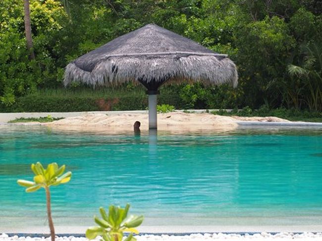 メインプール<br />広さはまぁまぁです。