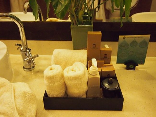 アメニティは最低限のものはあります。<br />外のバスタブにはバスソルトもありました。