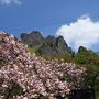 新緑を巡る群馬の旅　1日目　妙義山、めがね橋、雲場池、万座温泉