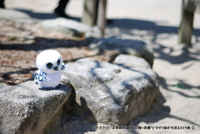 おつかれさんです！<br /><br />と言わんばかりの謎ぬいぐるみ。<br /><br />境内のある場所にちょこんと置いてありました。<br />理由は全く謎です。誰か観光客の方がおいていったのか。それとも元々境内にある物なのか。