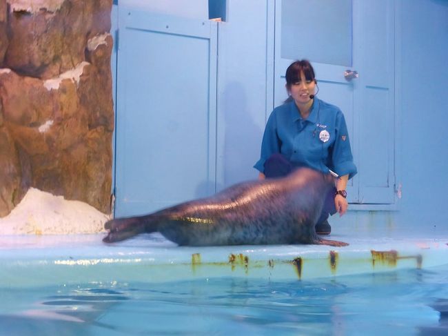 閉館近づく マリンピア 松島水族館 】><(((・> 「☆ ありがとう