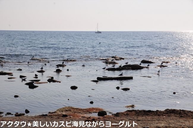 夏旅22ビザ免除で初中央アジア★アクタウ★美しいカスピ海見ながらヨーグルト