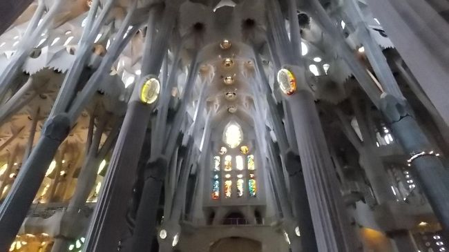 柱が、木の幹のように伸びる