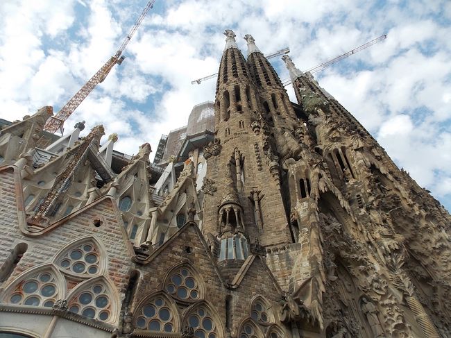 敷地内から見上げると、やっぱりでっかい