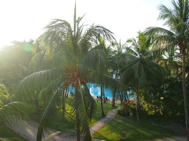 ベランダからの眺め。<br /><br />ガーデンビューというか、プールビュー。<br />50Ｍプールが見えるお部屋でした。