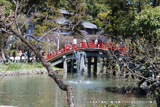 さて天満宮の参拝も終わってこれからはレンタサイクルを借りて周辺をサイクリングする予定になっています。<br /><br />帰り道にまた参道を通って帰ります。