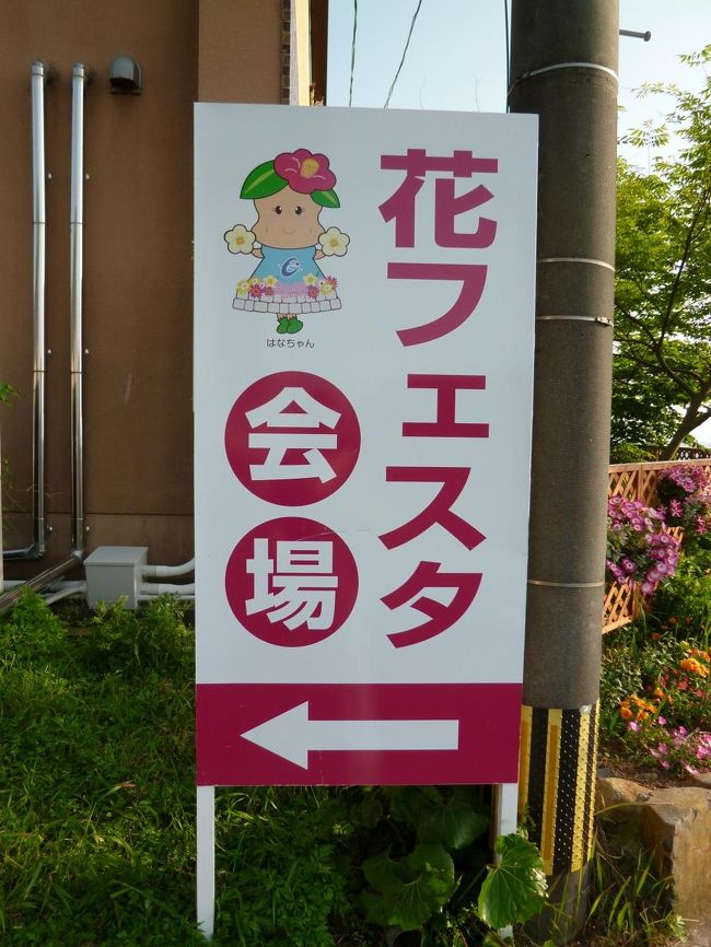 花いっぱい花フェスタ 長島町 出水 伊佐 鹿児島県 の旅行記 ブログ By Pearlさん フォートラベル 花いっぱい花フェスタ 長島町 出水 伊佐 鹿児島県 の旅行記 ブログ By Pearlさん フォートラベル