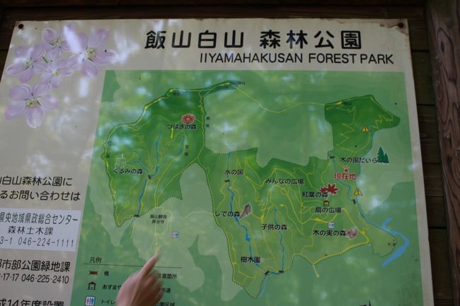 若葉萌える飯山白山公園へ 丹沢 大山 神奈川県 の旅行記 ブログ By ころたさん フォートラベル