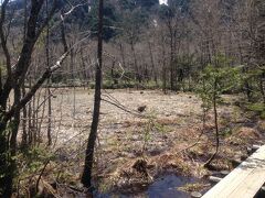 岳沢湿原

ここで多くの人が立ち止まってます。
なんだろう？と思ったらお猿さんたちの群れがいます。