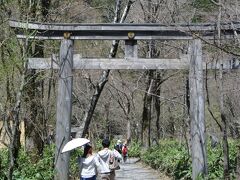穂高神社

この先の明神池へは、拝観料300円が必要です。
御朱印もいただくことができます。