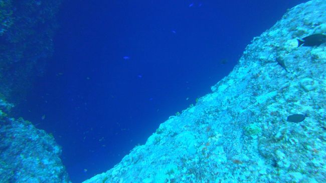 2本目、グアムの代名詞（？）ブルーホール。<br /><br />こちらは-18ｍほどの海底に穴が開いていて深く潜っていくと-36m程のところに外洋に続くドロップオフ(断崖）に通じる横穴が開いており、AOW取得済みだと横穴から潜って出てくることができます。<br />私たちは潜るのは2度目〜。<br /><br /><br />深淵を覗く。<br />やっぱり穴の中に落ちていくのは一瞬怖いと思います。<br />上から見た穴の中は真っ暗。<br />ドロップオフへ通じる横穴が見えるとそこから光が入ってきます。