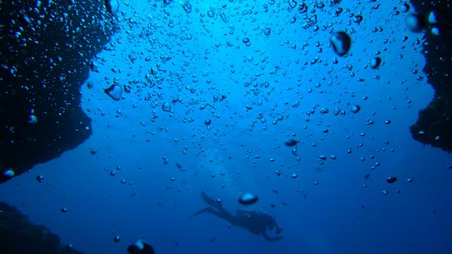 2本目再度ブルーホール。<br />今度はドロップオフ側から穴の中をあがってくるコースで。<br /><br />ドロップオフの方はそれこそ深いので（レクリエーションダイビングの域をこえる深さ）うっかりしてると-50ｍとかすぐいっちゃいます。<br />わたしのダイビングコンピューターさん(SUUNTO d4i)はエライ厳しくて、常に警告音との戦い…！浅め浅めでｶﾞﾝﾊﾞﾘﾏｽ…。皆鳴ってないのに…；；；<br /><br />※ダイビングでは深くなればなるほど滞在時間が短くなります。それを計算してくれるのがダイビングコンピューターです。