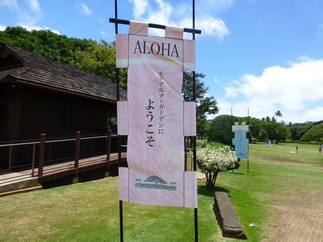 アパートで休憩したらドライブに行きましょう。<br /><br />リクエストしてモアナルア・ガーデンに連れて行ってもらいました。