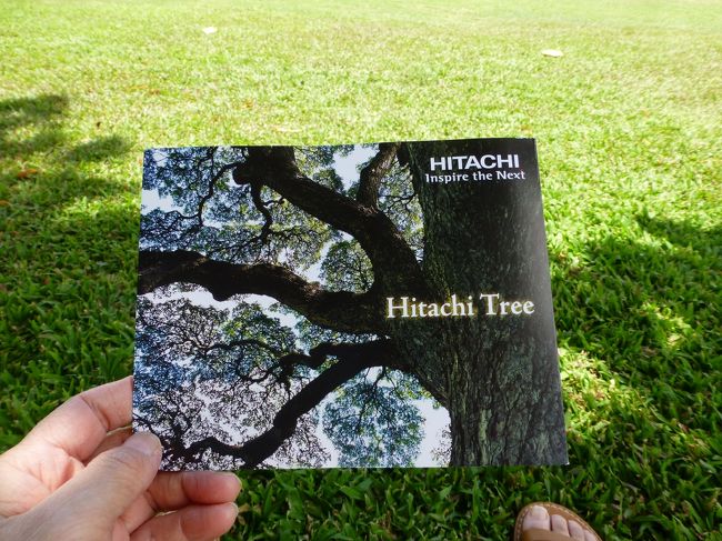 パンフレットも貰えます。