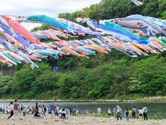 泳げ鯉のぼり相模川