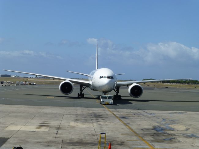 真正面からＪＡＬを一枚。<br /><br />大きく開いた開口部から見えました。<br /><br />飛行機が間近に見えて嬉しいな。