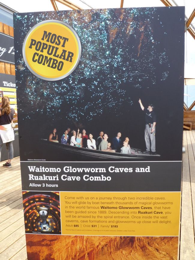 中は写真撮影禁止なので、ポスターを撮っておきました<br />青白い光が幻想的です