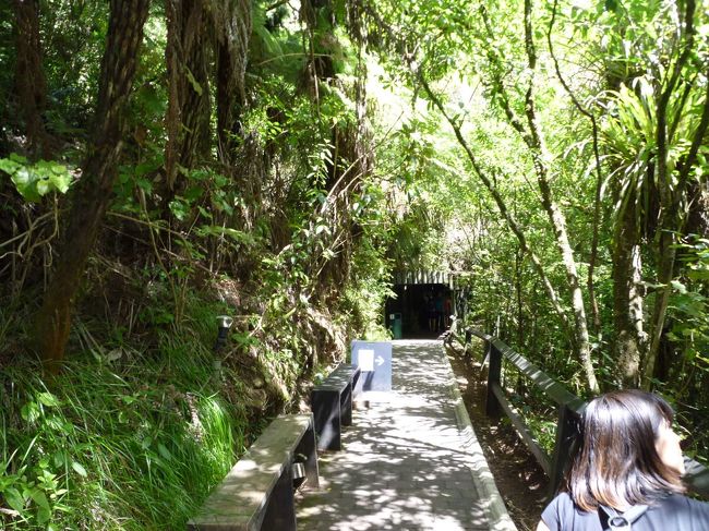 この先に鍾乳洞があります