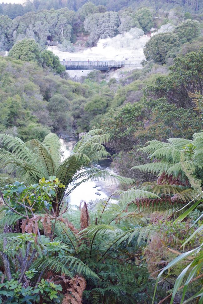 テ・プイア<br />国鳥のキーウィを見ることができます（写真撮影禁止）