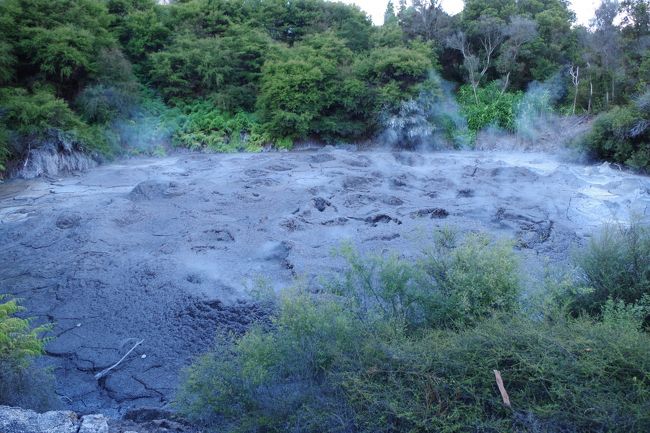 ンガモカイアココ鉱泥泉