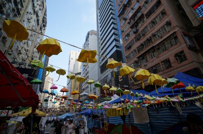 テントの屋根にひもをのばしてものすごい数です。