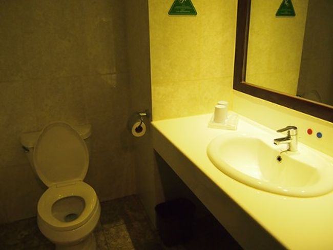 バスルームはシンプル。<br />でも清潔でした。<br /><br />バスタブなし、シャワーのみ。