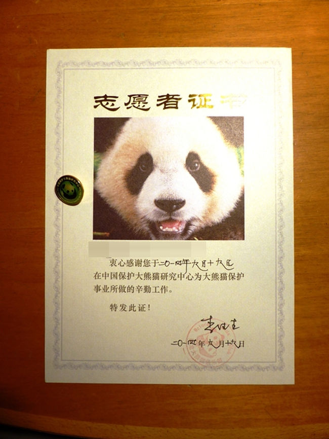 中国 雅安 雅安碧峰峡パンダ保護基地行って 可愛いパンダちゃんたちと過ごす一日 四川省 中国 の旅行記 ブログ By ベイグラントさん フォートラベル 中国 雅安 雅安碧峰峡パンダ保護基地行って 可愛いパンダちゃんたちと過ごす一日 四川省 中国 の旅行記 ブログ By ベイグラントさん フォートラベル