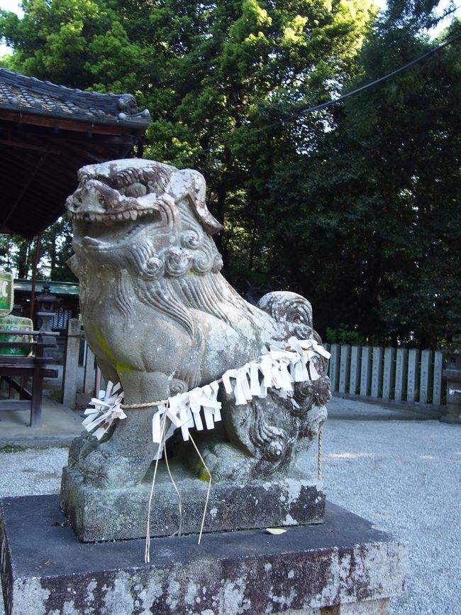 鴨都波神社の狛犬さん。