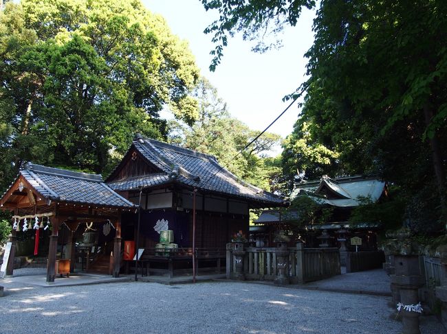 奥行きのある立派なお社。