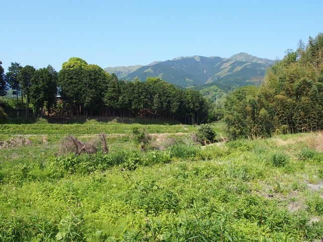 のどかだ・・・