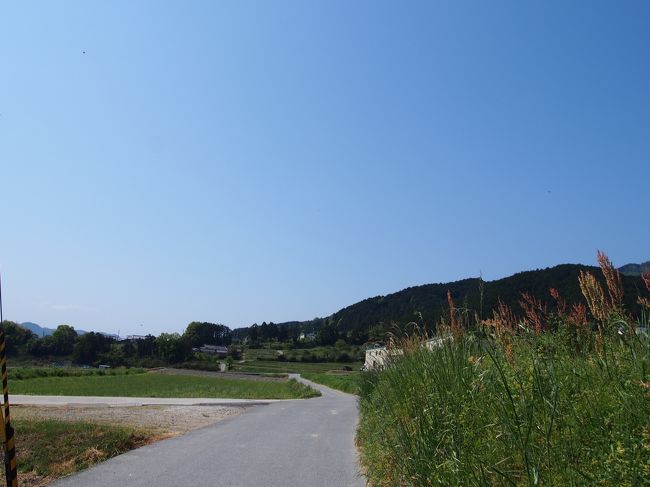 この季節、分かってはいましたが毛虫がゴロゴロ・・・<br /><br />写真右部に写っている赤い穂の植物が好みのようで、枝１本につき１匹の毛虫がくっついていて（つまり　とってもたくさんいる。そして大きい）、チョ〜怖かった！！