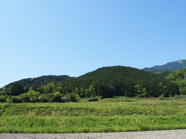 なんか古墳っぽい！？